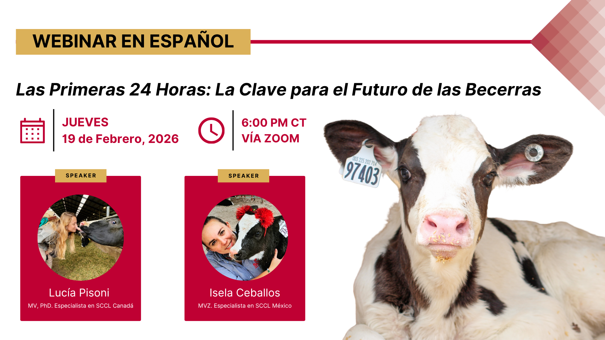 Webinar: Las Primeras 24 Horas: La Clave para el Futuro de Becerras​