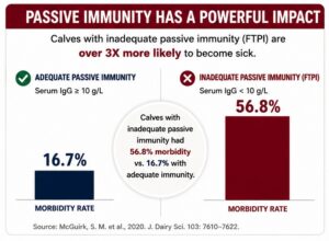 Adequate passive immunity drops risk of morbidity from 56.8% to 16.7%
