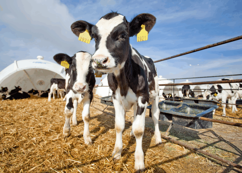 Restore-with-Colostrum-1024x732