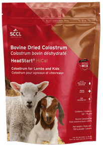 Headstart® HiCal