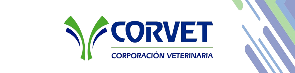 corvetbolivia_cover-removebg-preview