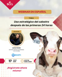 Uso Estratégico del Calostro Después de las Primeras 24 Horas