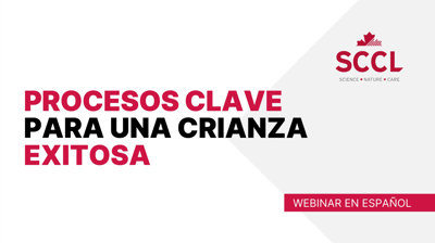 Webinar: Procesos clave para una crianza exitosa