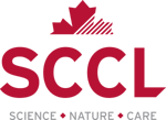 SCCL