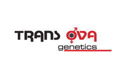 Trans