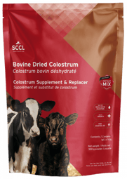 Bovine Dried Colostrum