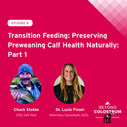 Episode 8 Transition Feeding Podcast 