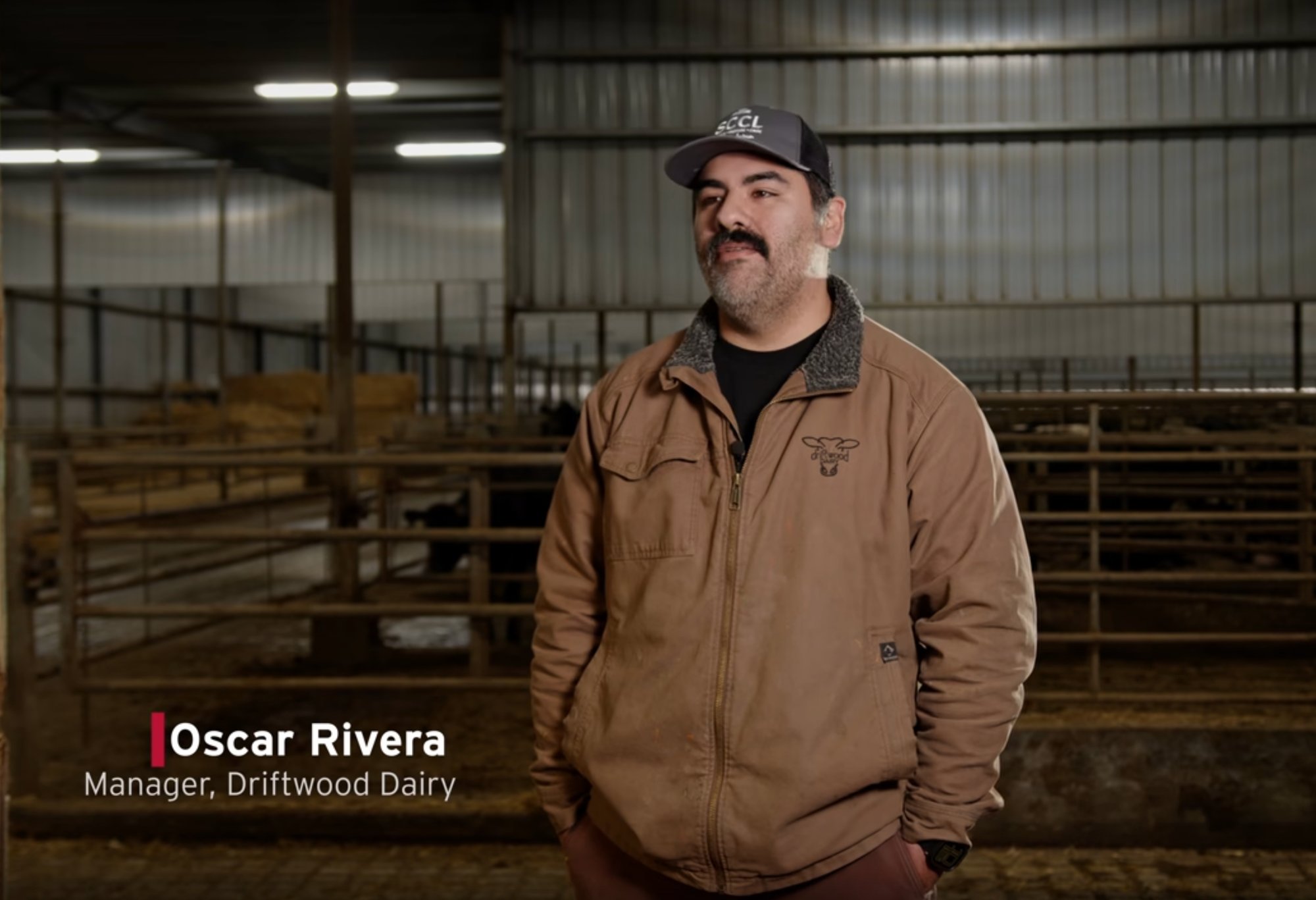 driftwood dairy
