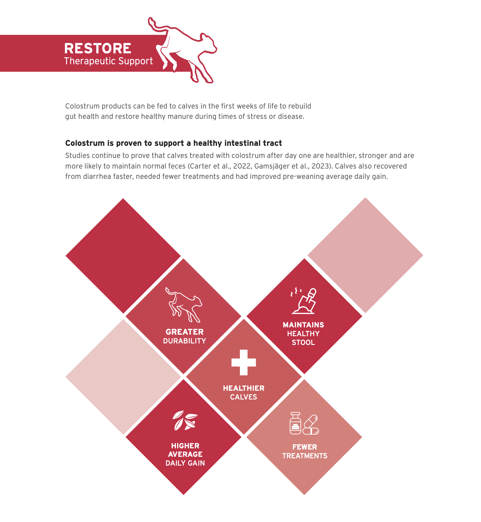 restore guide cover image