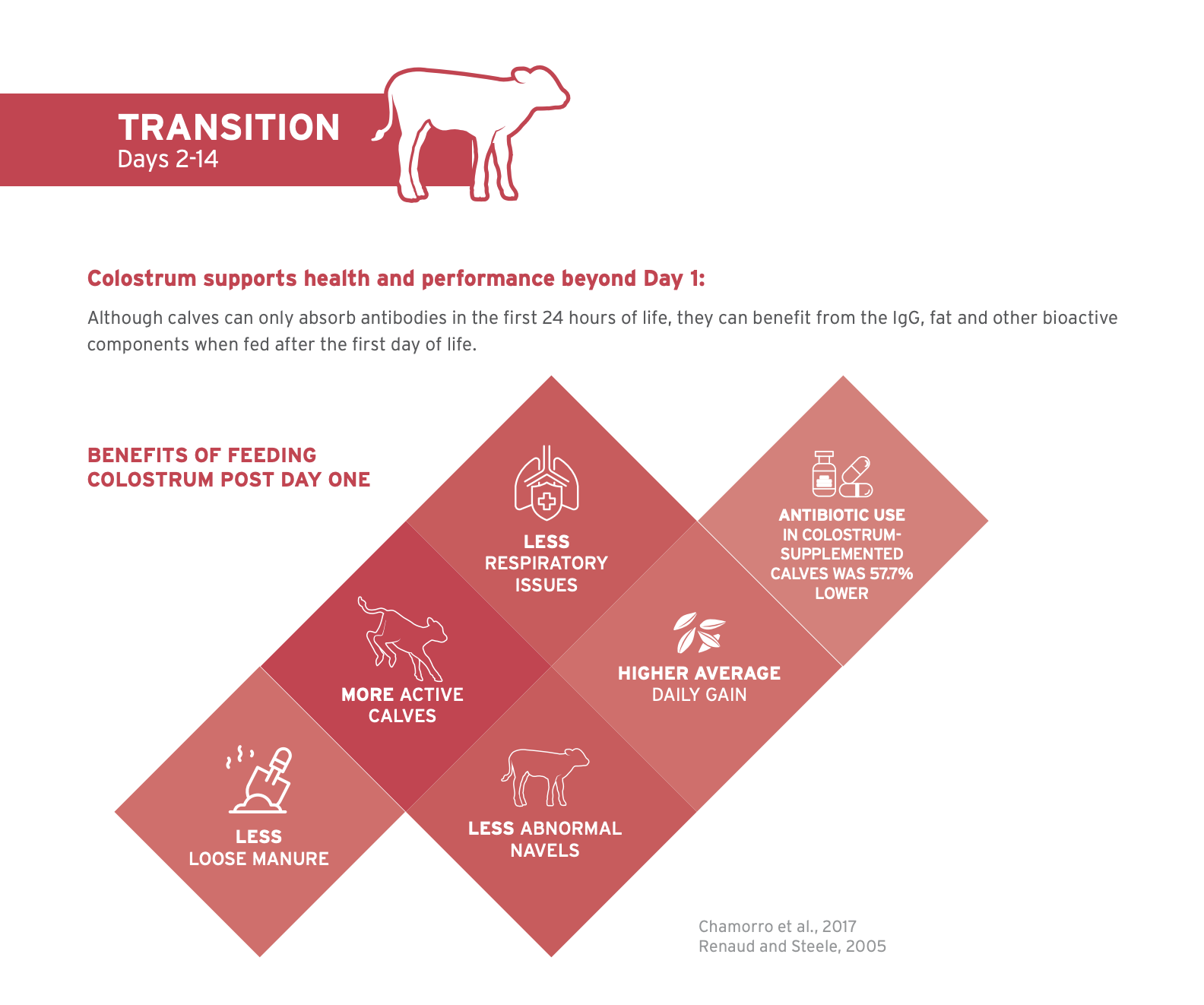 transition guide cover image