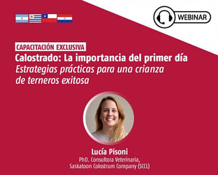 Calostrado: La importancia del primer día