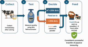 Steps to enrich. Collect, test, decide and feed