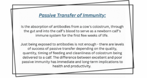 Passive transfer of immunity definition