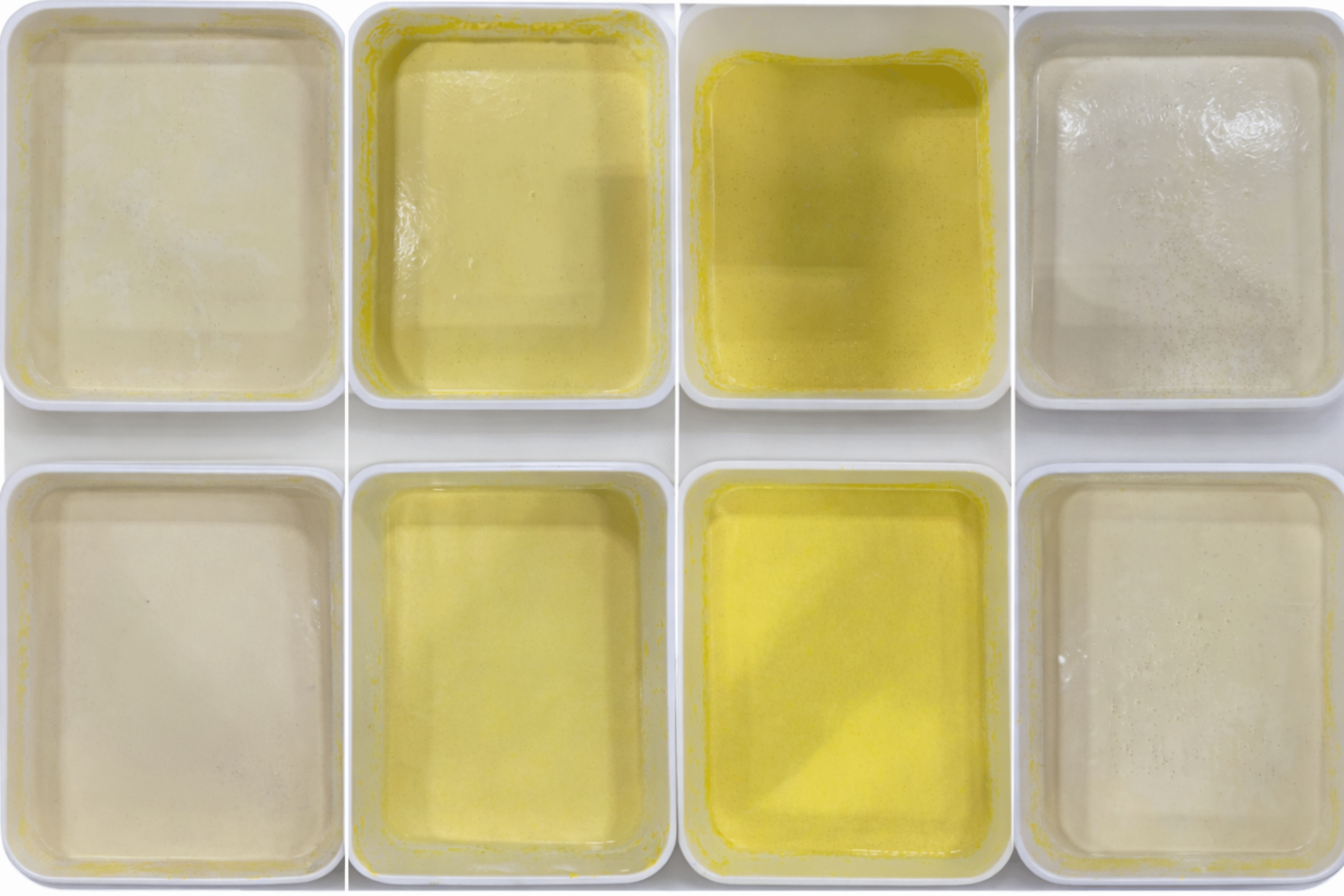 Pails of colostrum showing variability